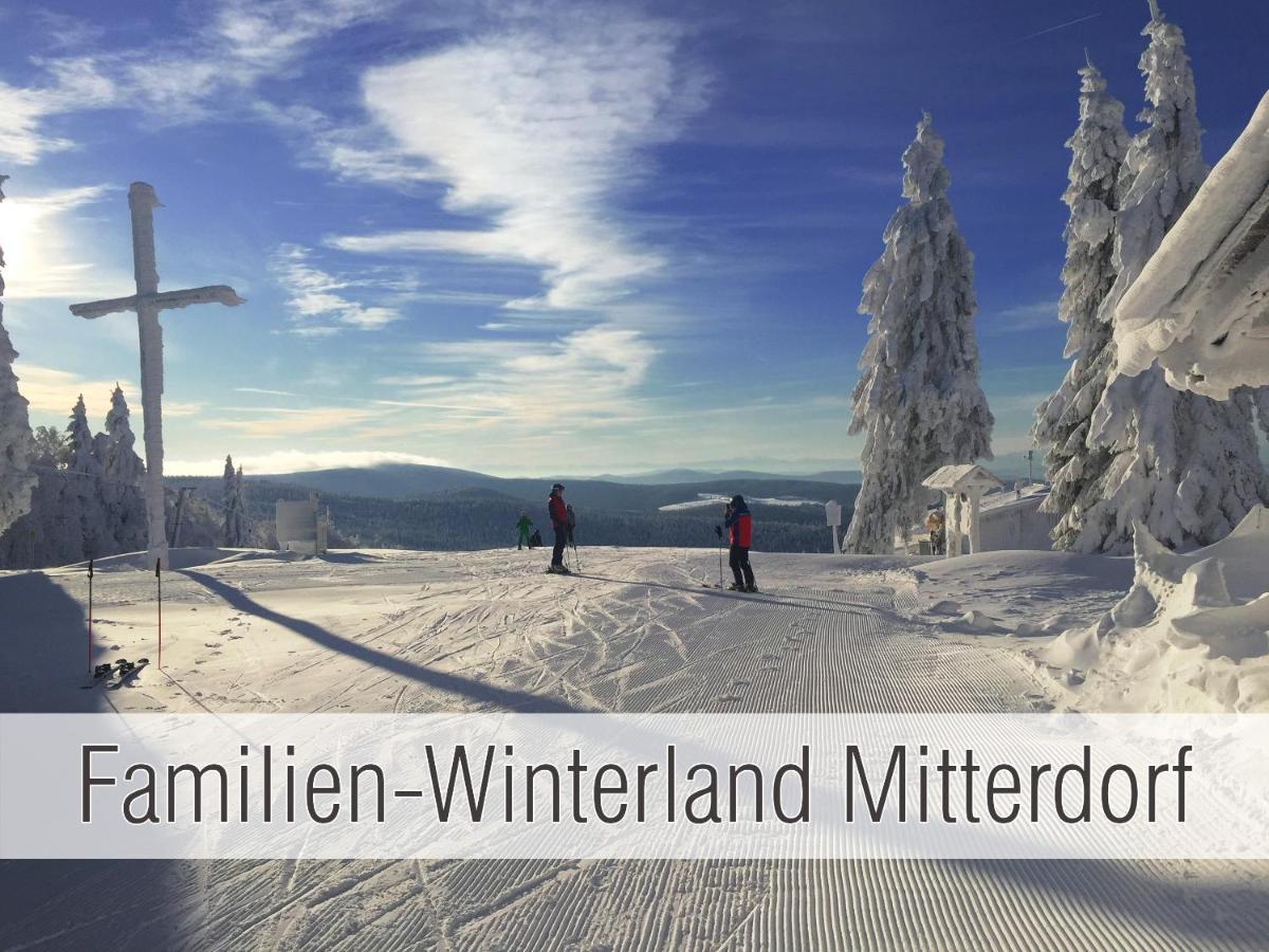 Huette41: Ganze Huette Nah Am See Mit Privatem Whirlpool, Sauna. Umzaeunt. Waldkirchen Exterior photo