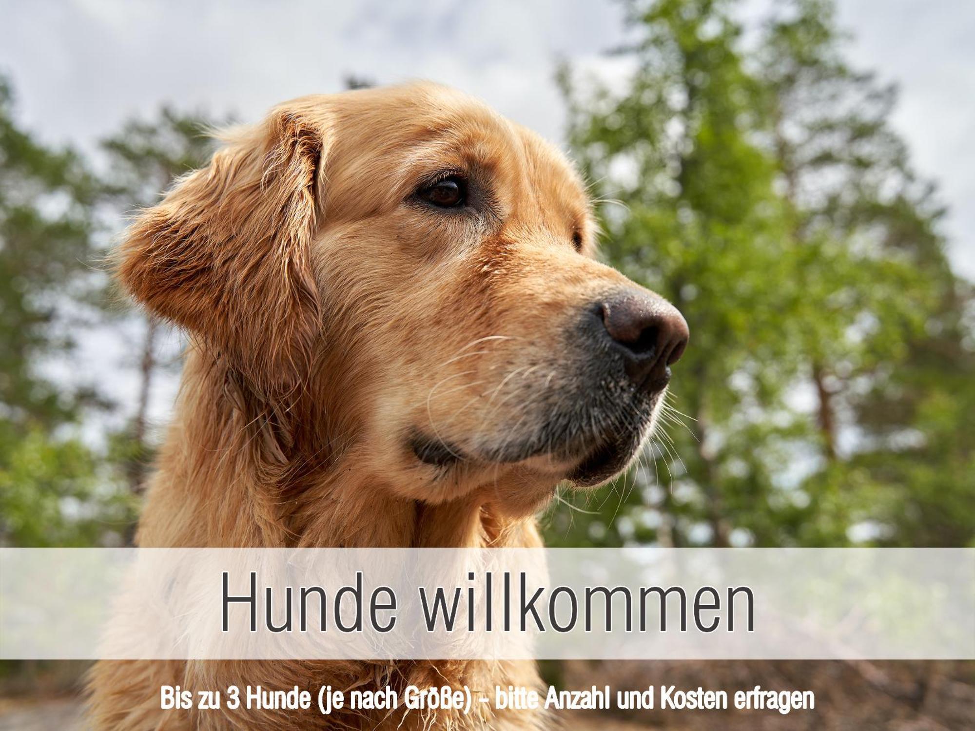 Huette41: Ganze Huette Nah Am See Mit Privatem Whirlpool, Sauna. Umzaeunt. Waldkirchen Exterior photo